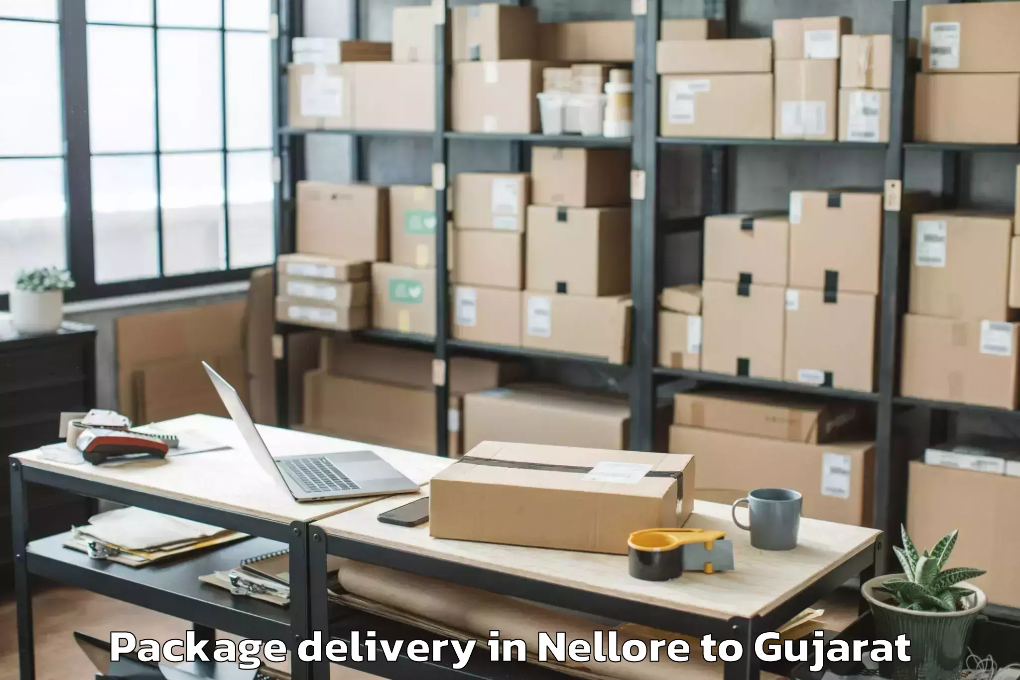 Easy Nellore to Abhilashi University Rajkot Package Delivery Booking